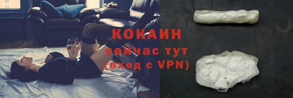 стаф Заволжск