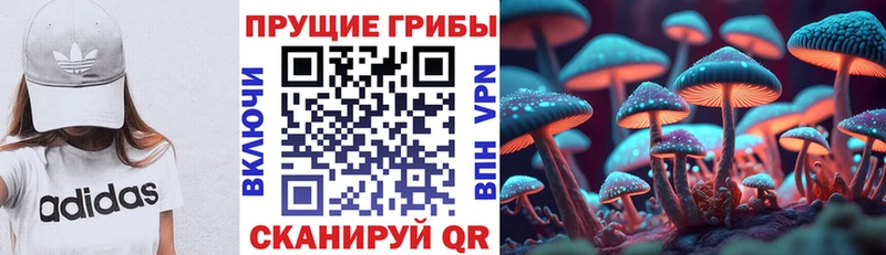 Купить закладки  Бутурлиновка  Псилоцибиновые грибы Psilocybine cubensis 